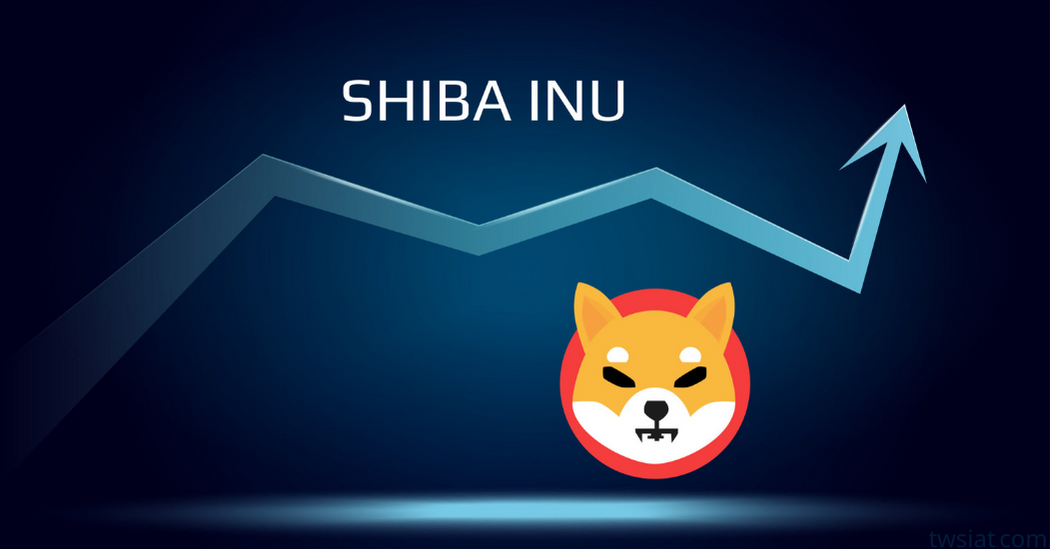 شيبا اينو SHIB INU